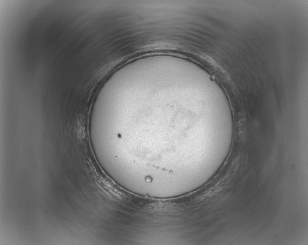 X0000069800929200606021435