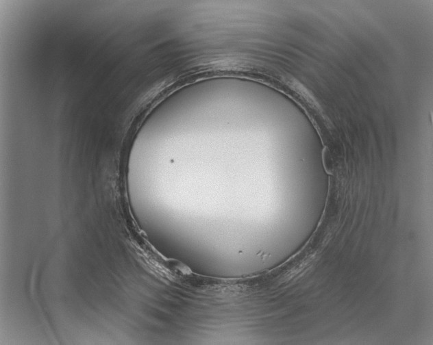 X0000069800930200606021435