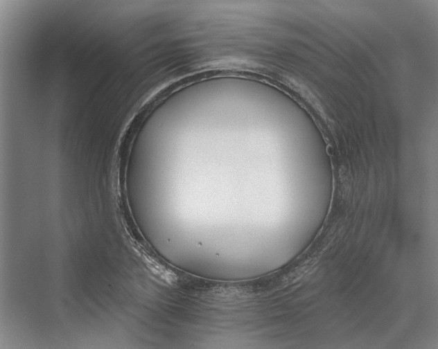 X0000069800931200606021435