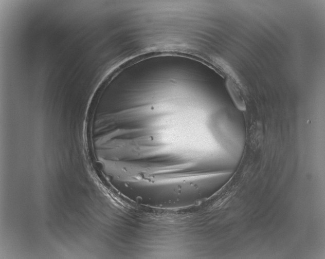 X0000069800932200606021435