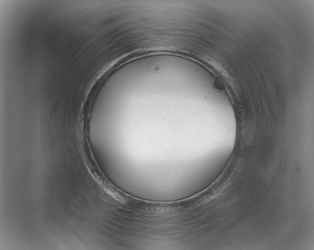 X0000069800933200606021435