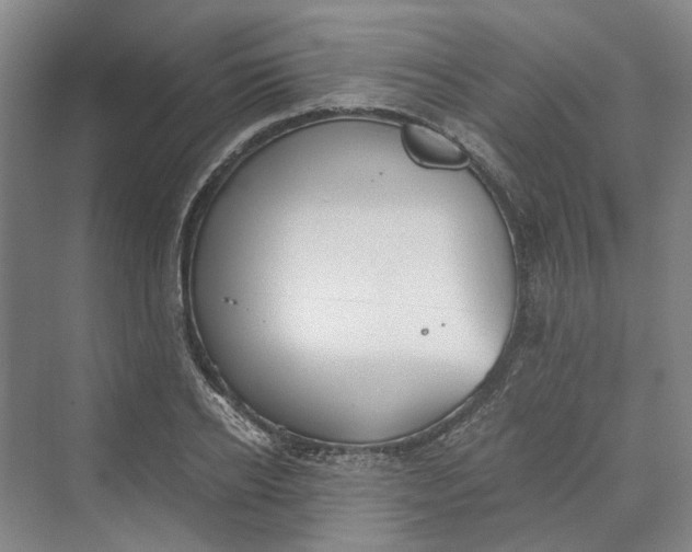 X0000069800934200606021435