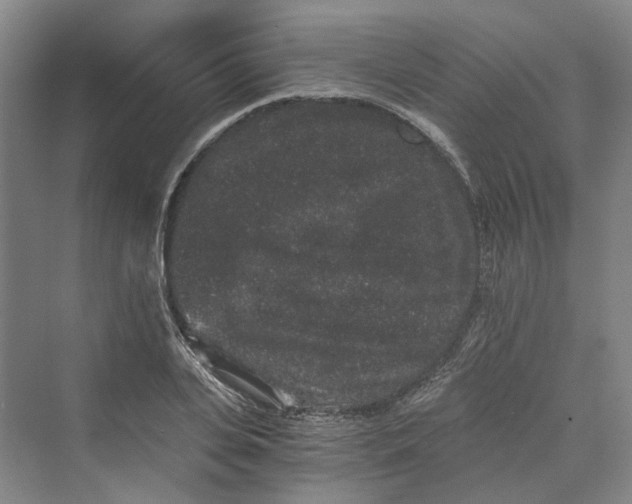 X0000069800935200606021435