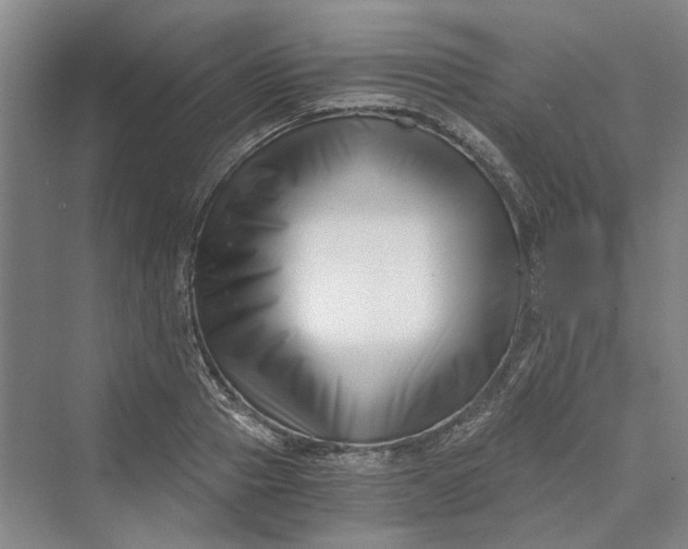 X0000069800937200606021435