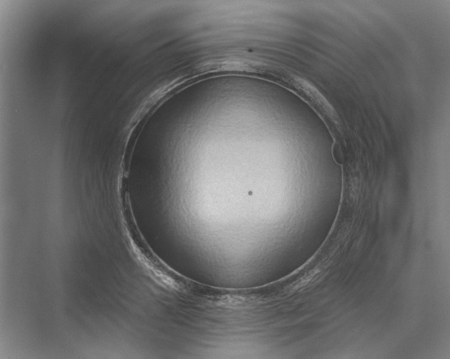 X0000069800938200606021435