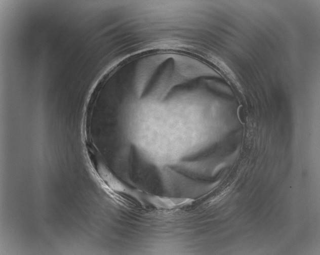 X0000069800939200606021435