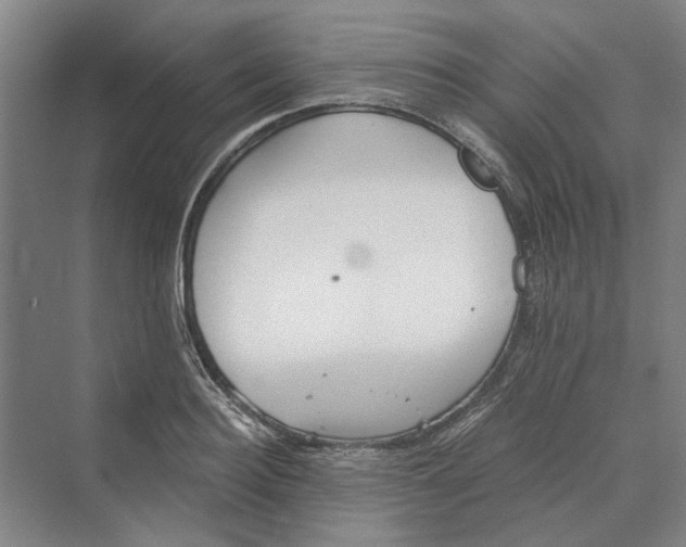 X0000069800940200606021435