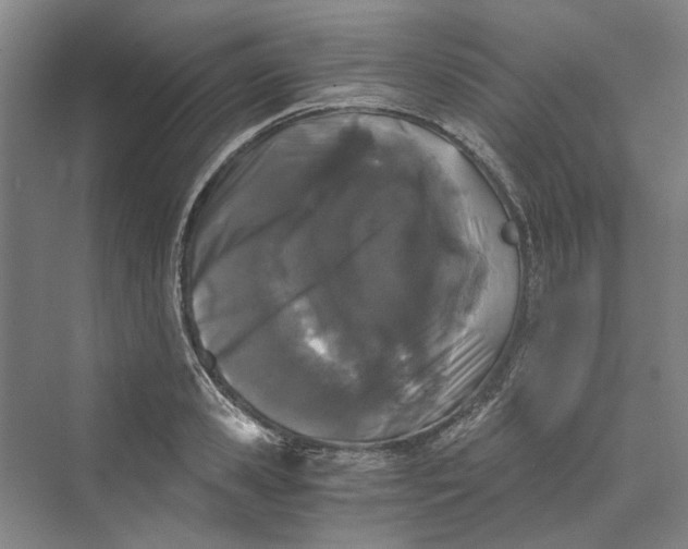 X0000069800941200606021435