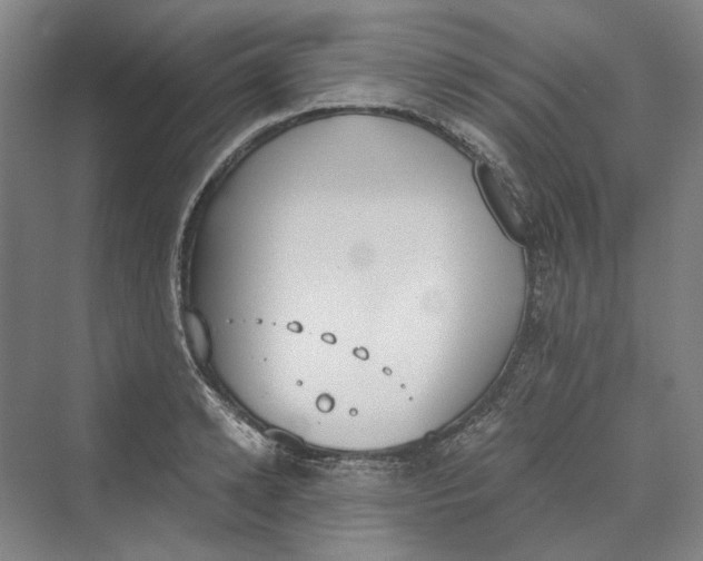 X0000069800942200606021436