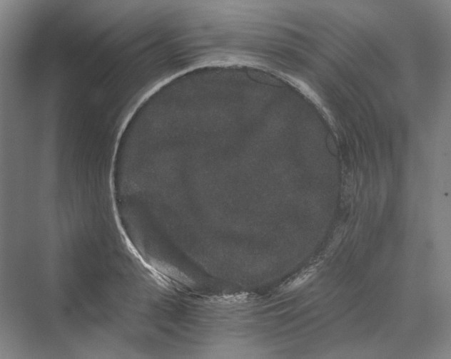 X0000069800943200606021436