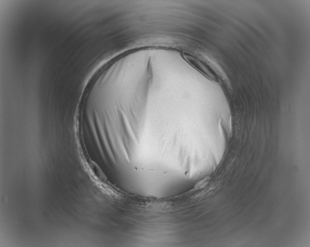 X0000069800944200606021436