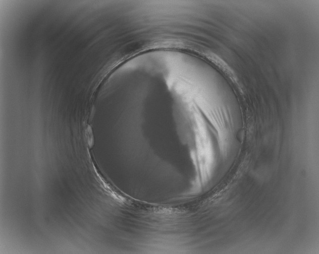 X0000069800945200606021436