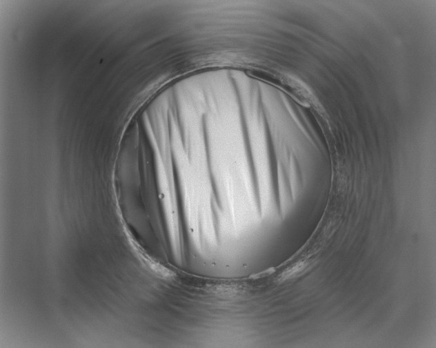 X0000069800946200606021436