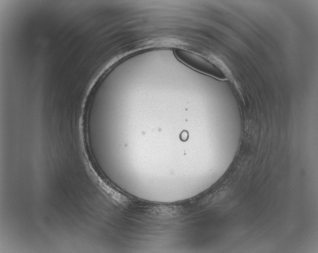 X0000069800947200606021436