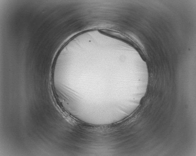 X0000069800948200606021436