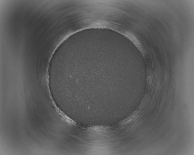 X0000069800950200606021436