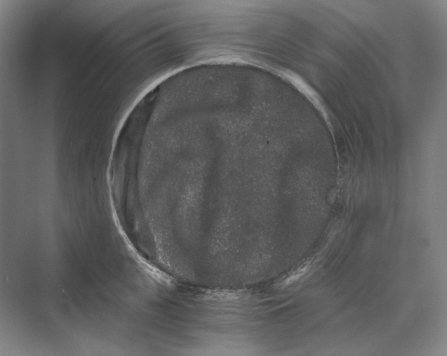 X0000069800951200606021436