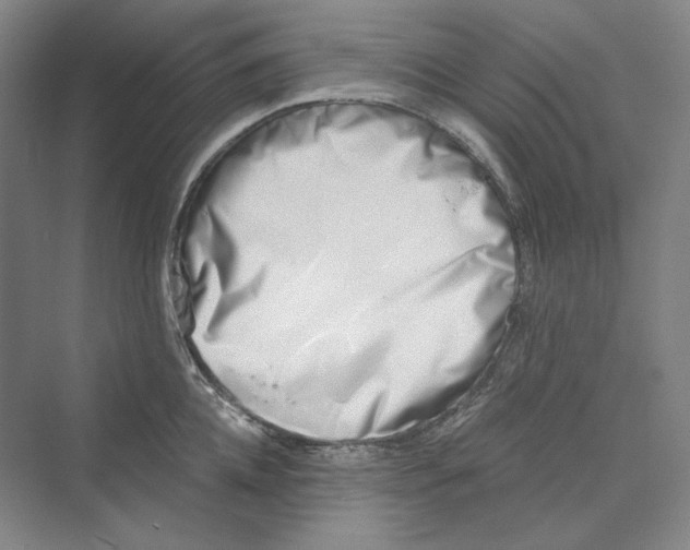 X0000069800952200606021436