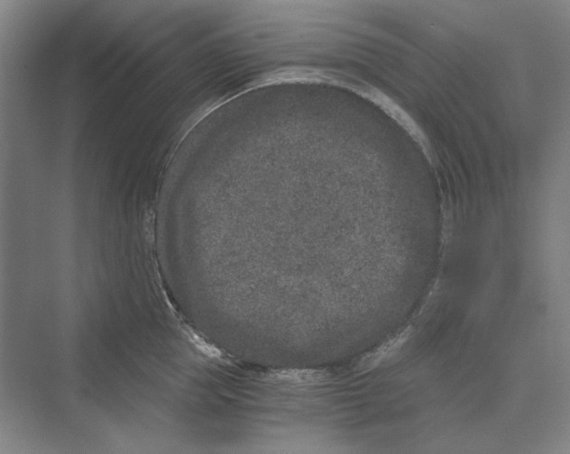 X0000069800953200606021436