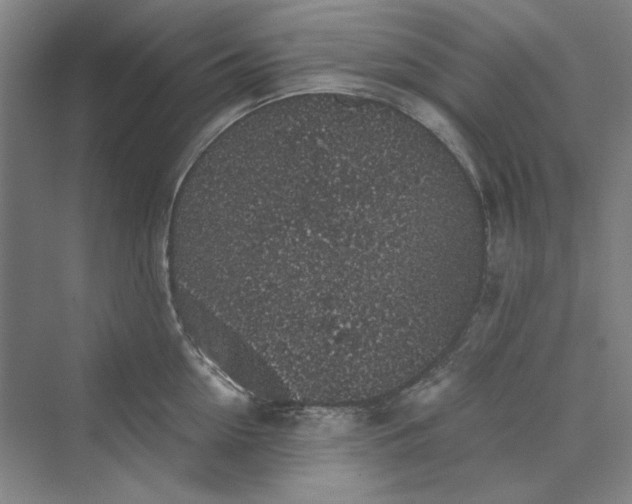 X0000069800954200606021436