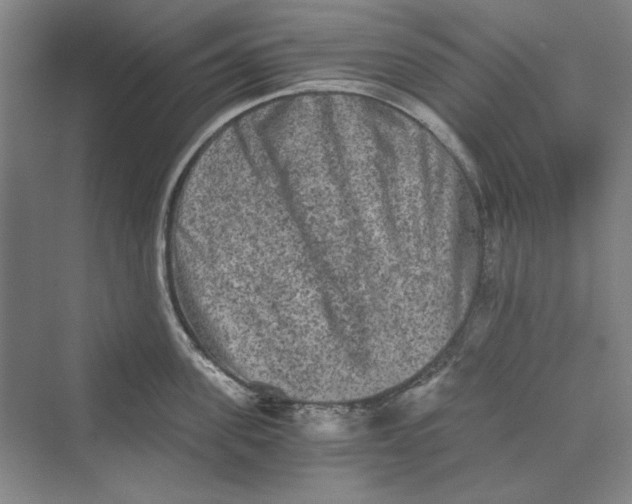 X0000069800955200606021436