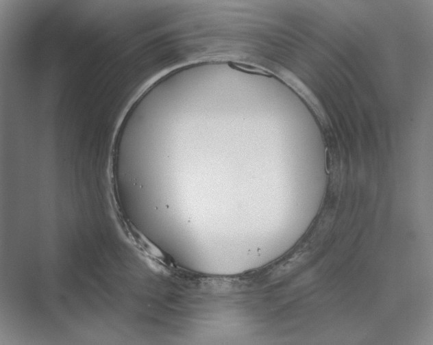 X0000069800956200606021436