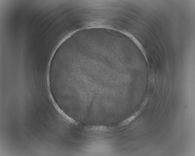 X0000069800957200606021436