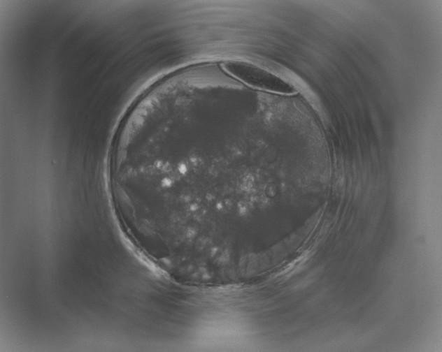 X0000069800958200606021436