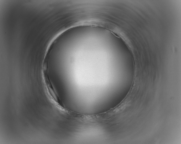 X0000069800960200606021436