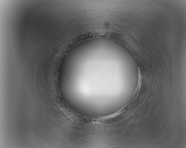 X0000069800961200606021435