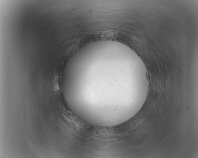 X0000069800962200606021435