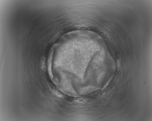 X0000069800963200606021435