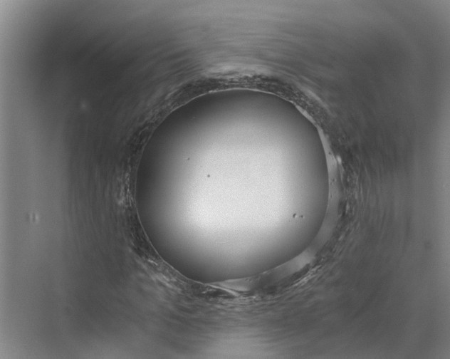 X0000069800965200606021435