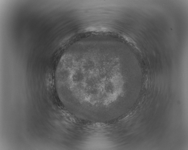 X0000069800966200606021435