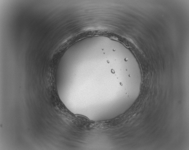 X0000069800967200606021435