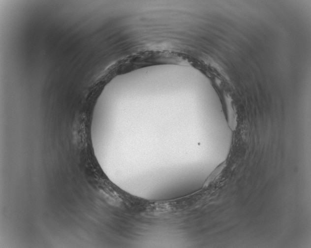 X0000069800968200606021435