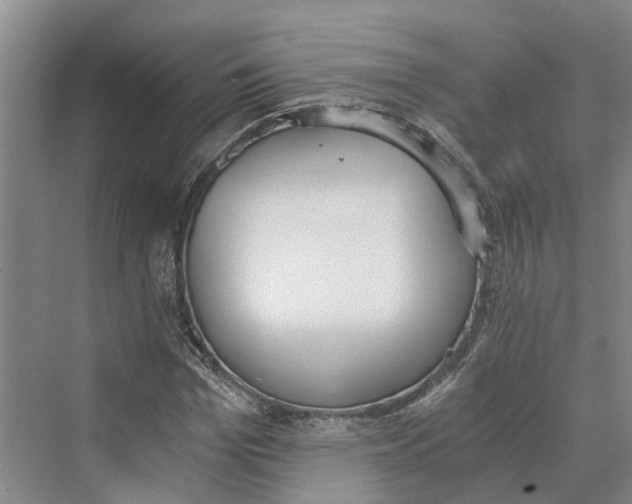 X0000069800969200606021435