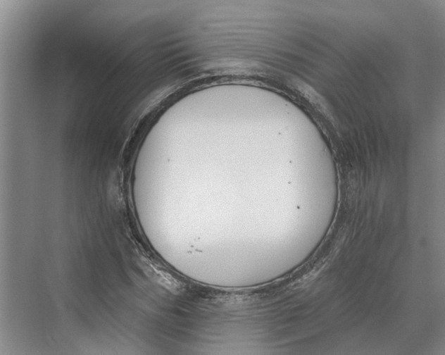 X0000069800970200606021435