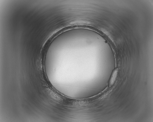 X0000069800973200606021435