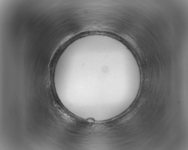 X0000069800974200606021435