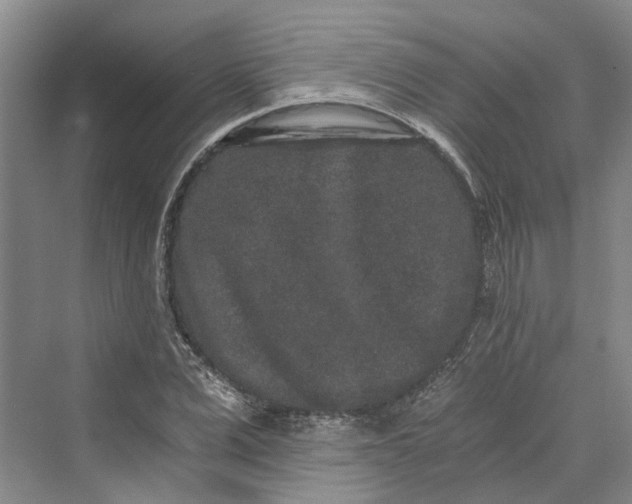 X0000069800975200606021435