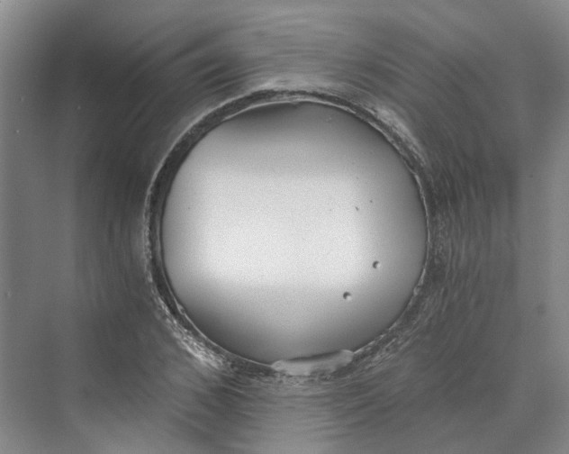 X0000069800976200606021435