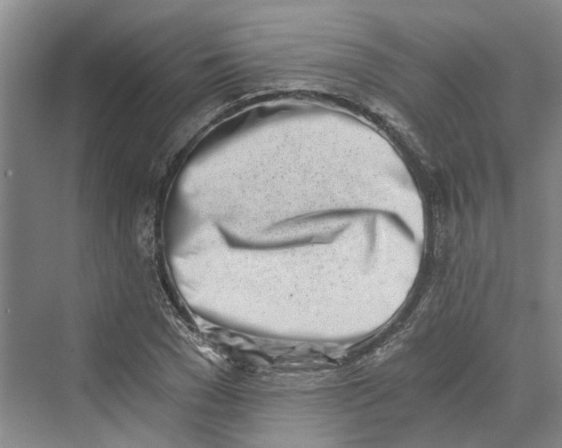 X0000069800977200606021435