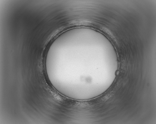 X0000069800978200606021435