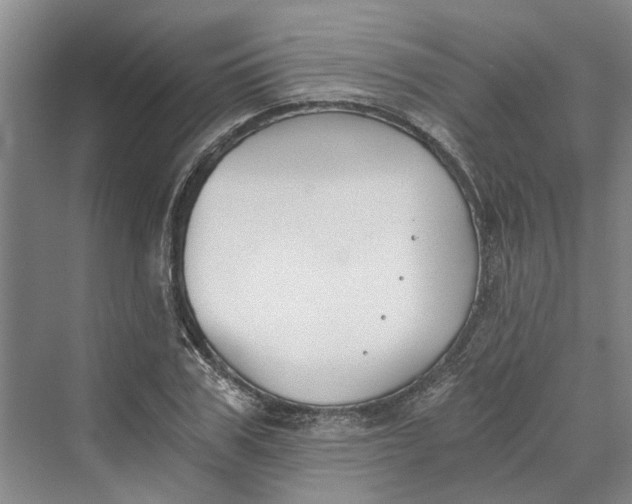 X0000069800979200606021435