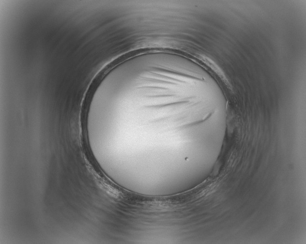 X0000069800980200606021435