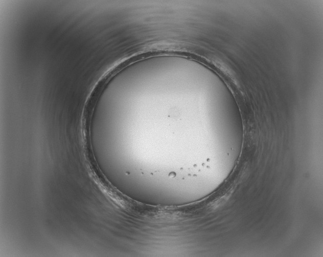 X0000069800981200606021435