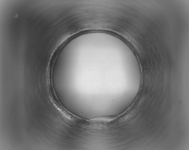 X0000069800982200606021435