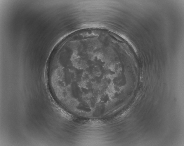 X0000069800983200606021435