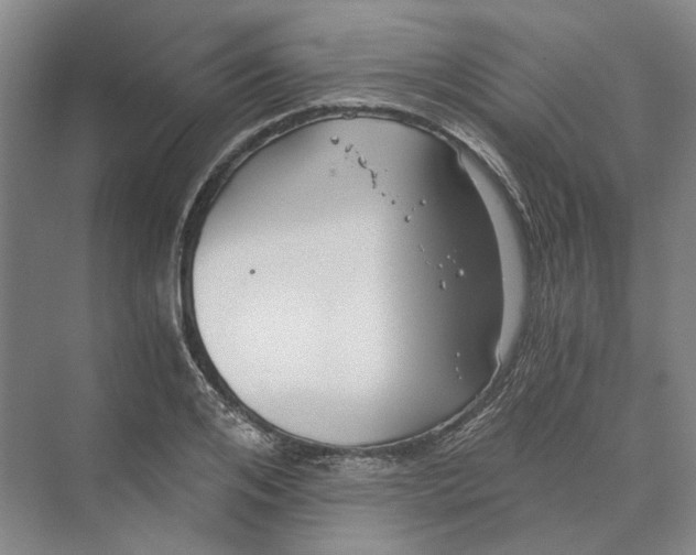 X0000069800984200606021435